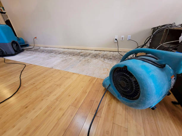 Professional Flood Damage Cleanup technician working in Baldwin, MI